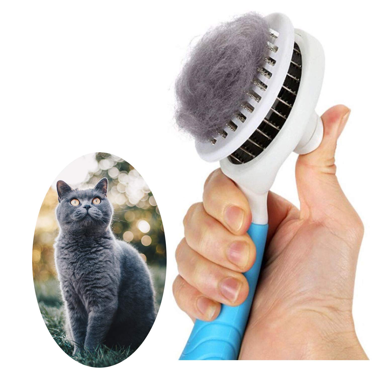Pets cleaning brush